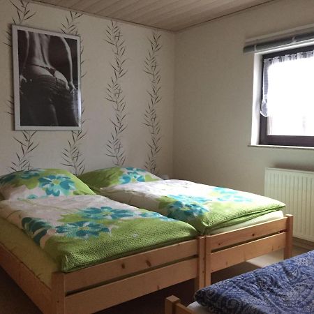 Ferienwohnung-Schmidt-2 Gelenau Zewnętrze zdjęcie