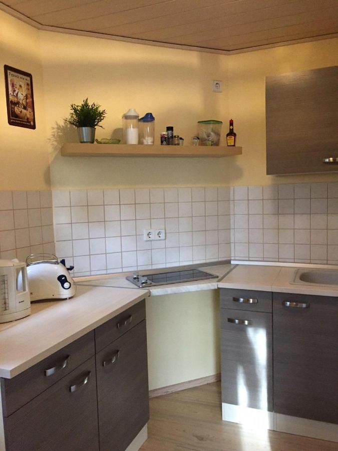 Ferienwohnung-Schmidt-2 Gelenau Zewnętrze zdjęcie