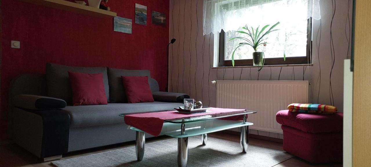 Ferienwohnung-Schmidt-2 Gelenau Zewnętrze zdjęcie