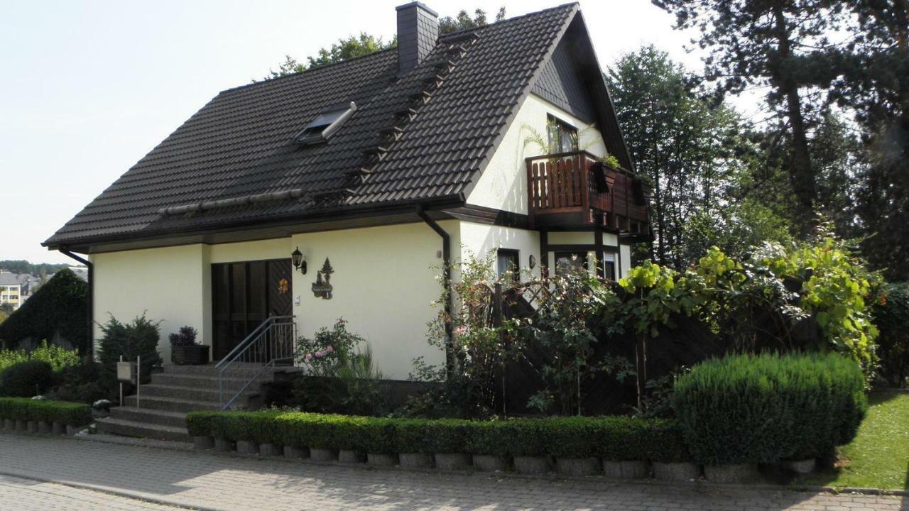 Ferienwohnung-Schmidt-2 Gelenau Zewnętrze zdjęcie